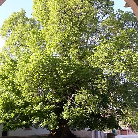 El Mirador De Tejadas בית נופש